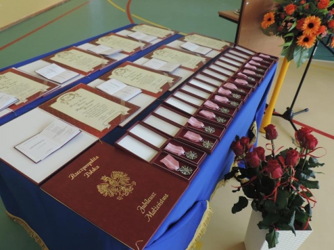 DiamentoweIZloteGody2017 (3).JPG
