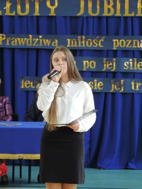 DiamentoweIZloteGody2017 (41).JPG