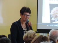 Tort70latBibliotekiWStromcu (10).JPG