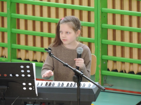 koncert karnawalowy  dn. 08-02-2017 Stromiec (52).JPG