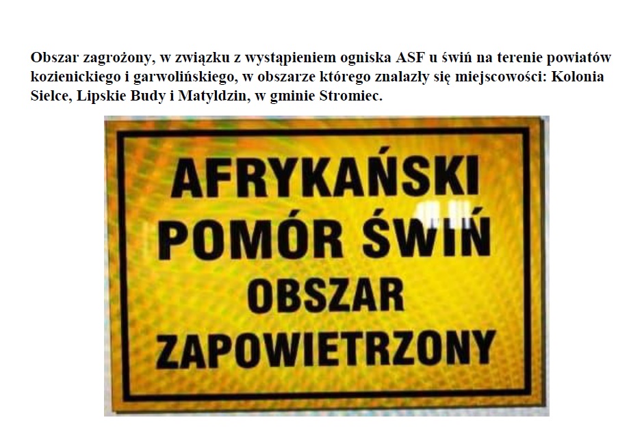 tl_files/magazyn/OGLOSZENIA/asf 2019 r.jpg