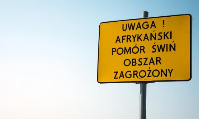tl_files/magazyn/OGLOSZENIA/asf 20199.jpg